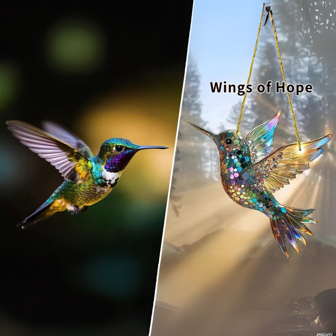 JoyWings | Farverig vinduesophæng med kolibri-solfangere