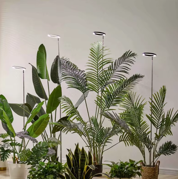 PlantLuxe | Vækstlys til stueplanter