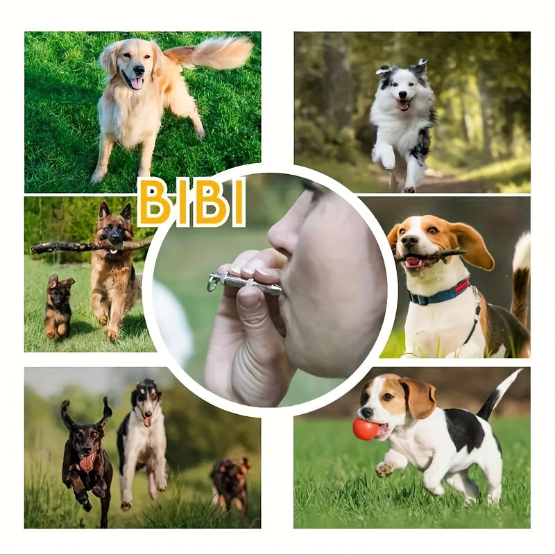 QuietCall | Hundefløjte – Klar og Stabil Træningslyd