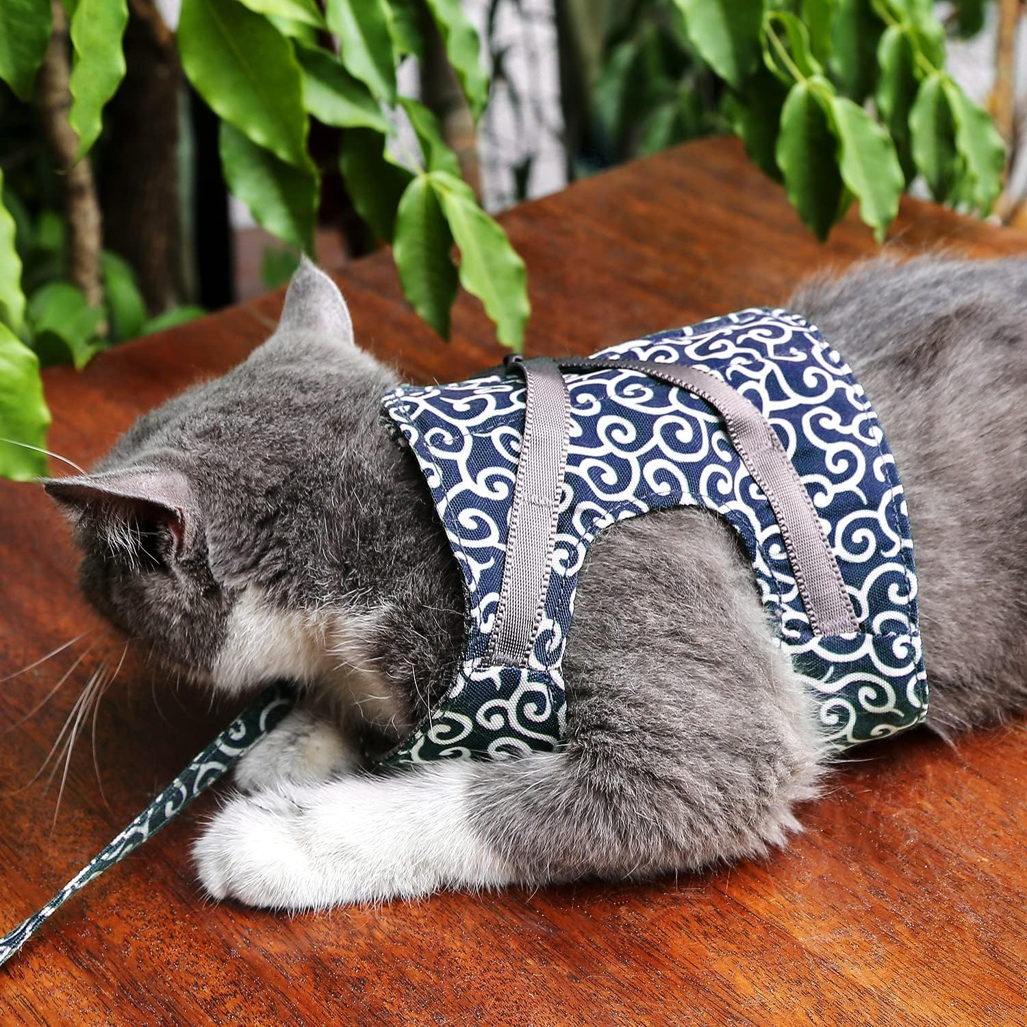 KittyComfort | Set pettorina per gatti a prova di fuga