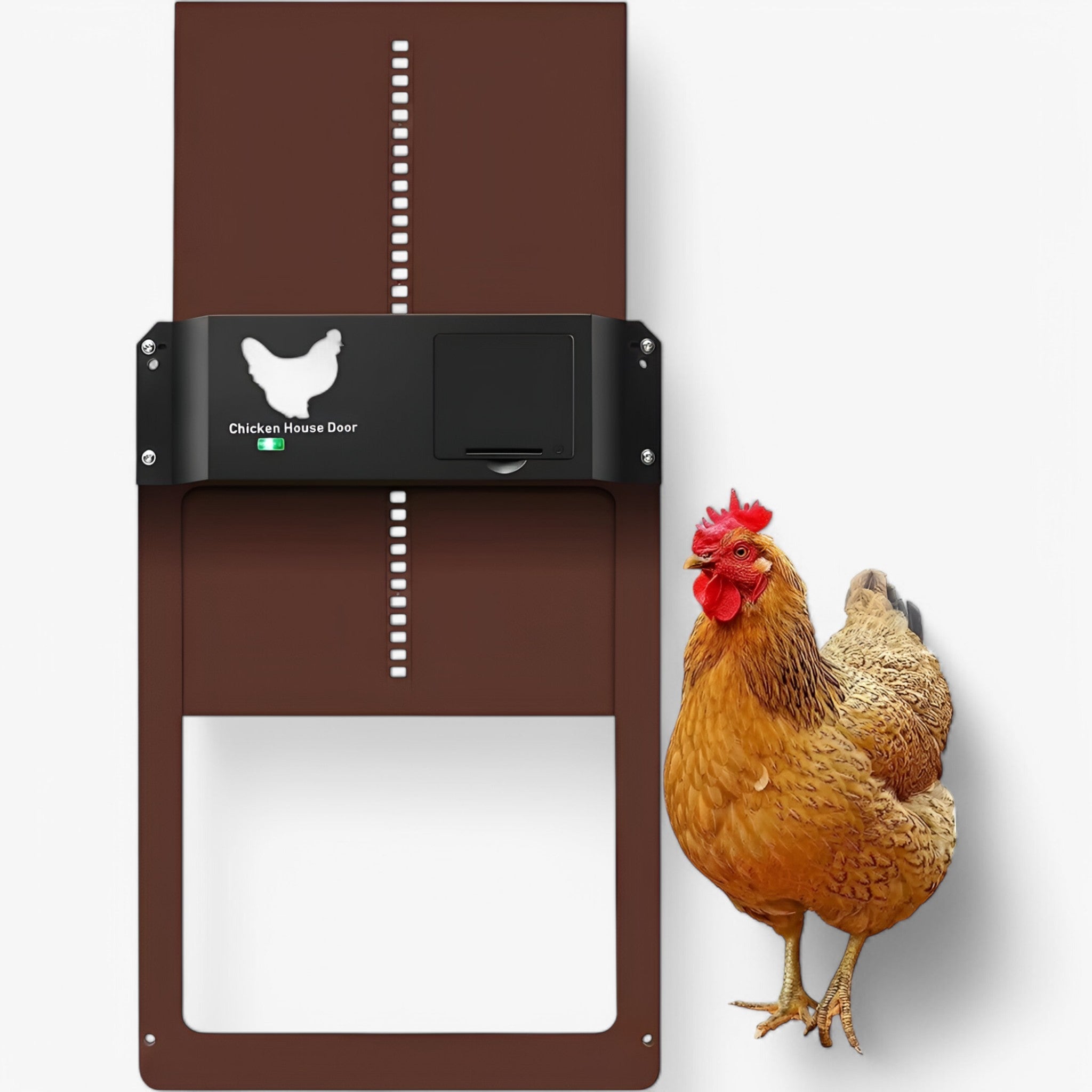ChickGuard | Chiusura automatica intelligente per porta del pollaio