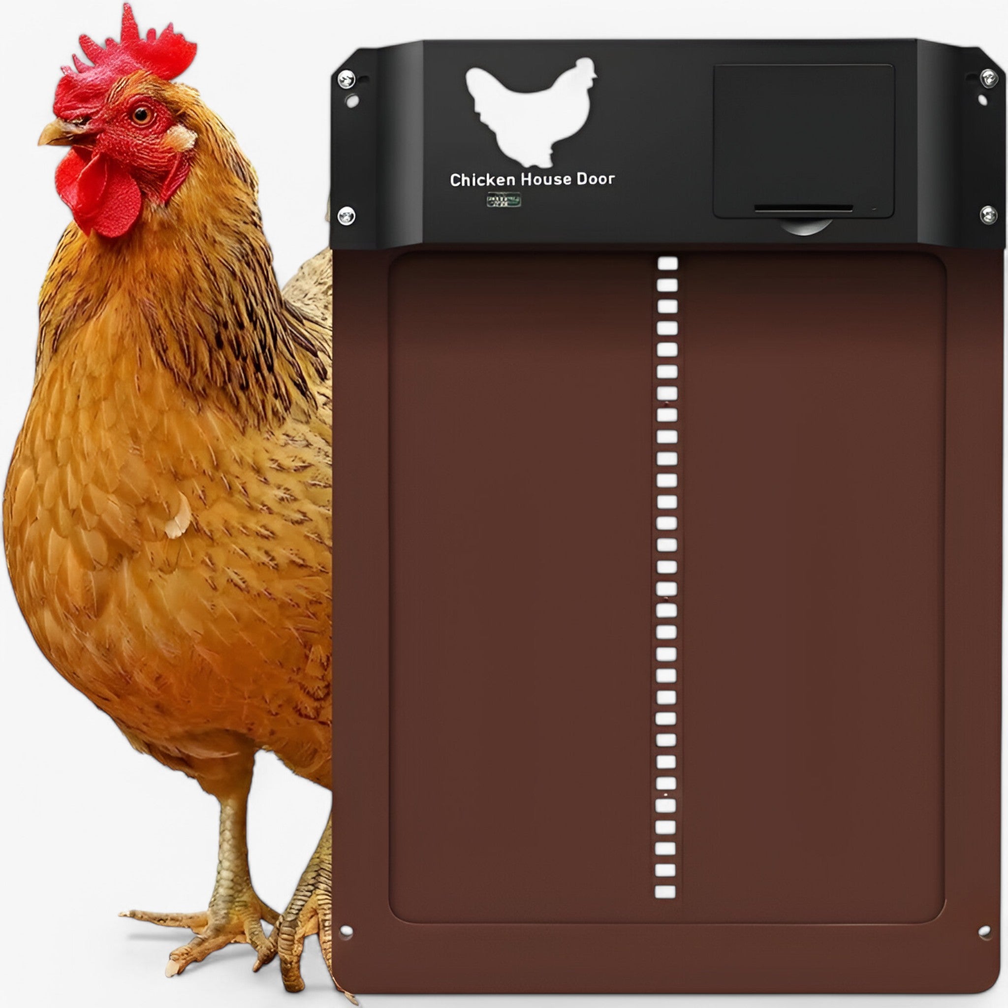 ChickGuard | Chiusura automatica intelligente per porta del pollaio