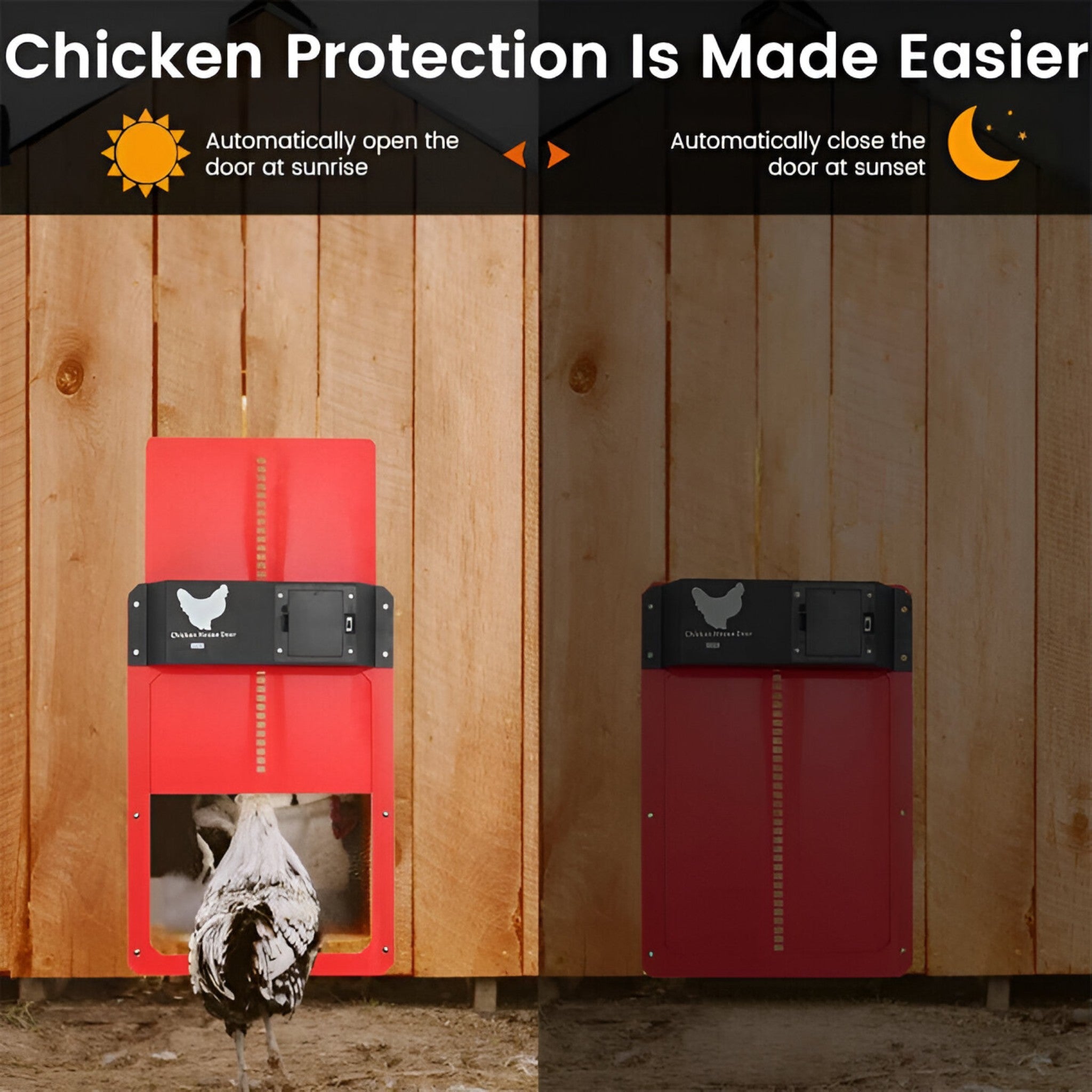 ChickGuard | Chiusura automatica intelligente per porta del pollaio