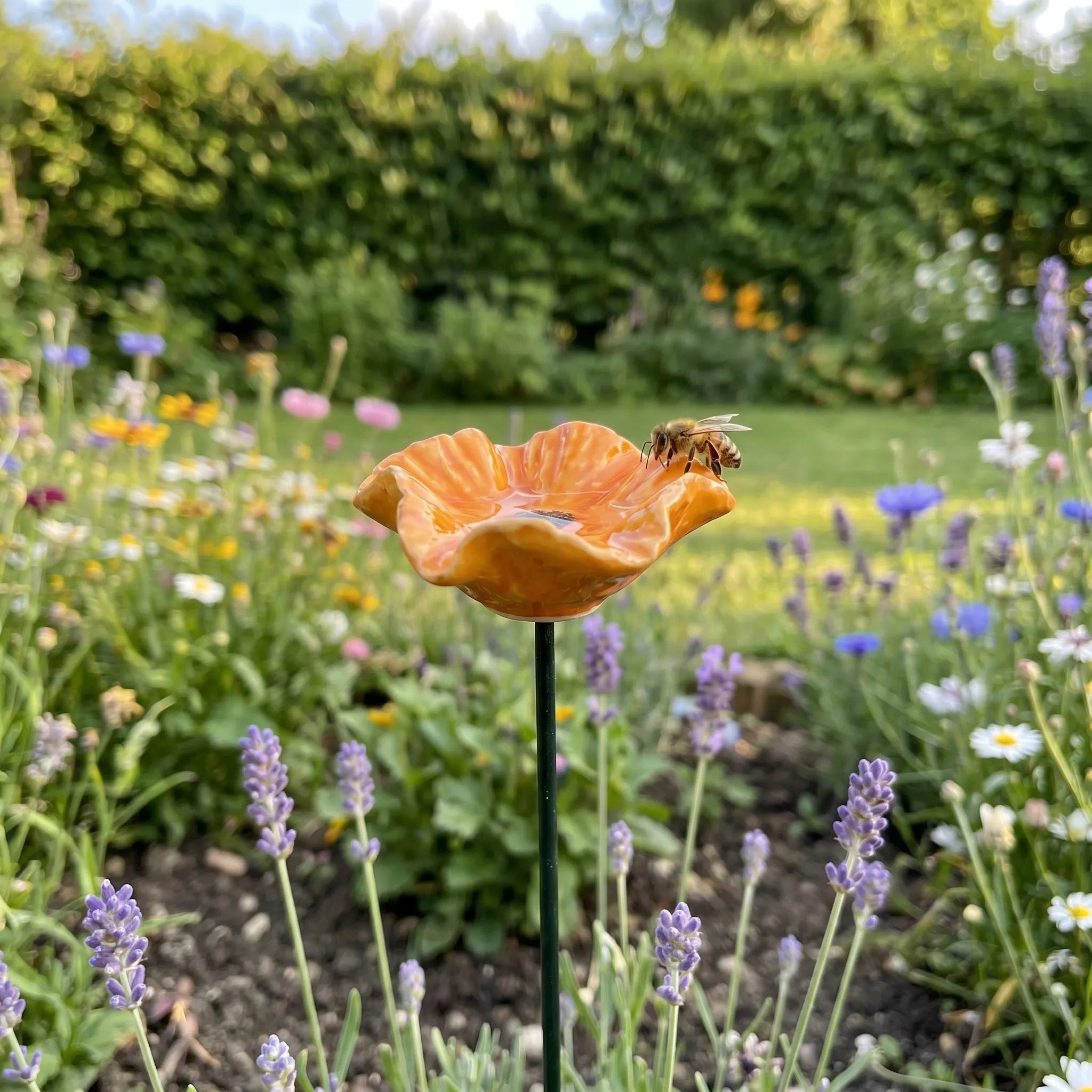 Florisana - Farverige Vandingsskåle På Pind Nuvenci.dk