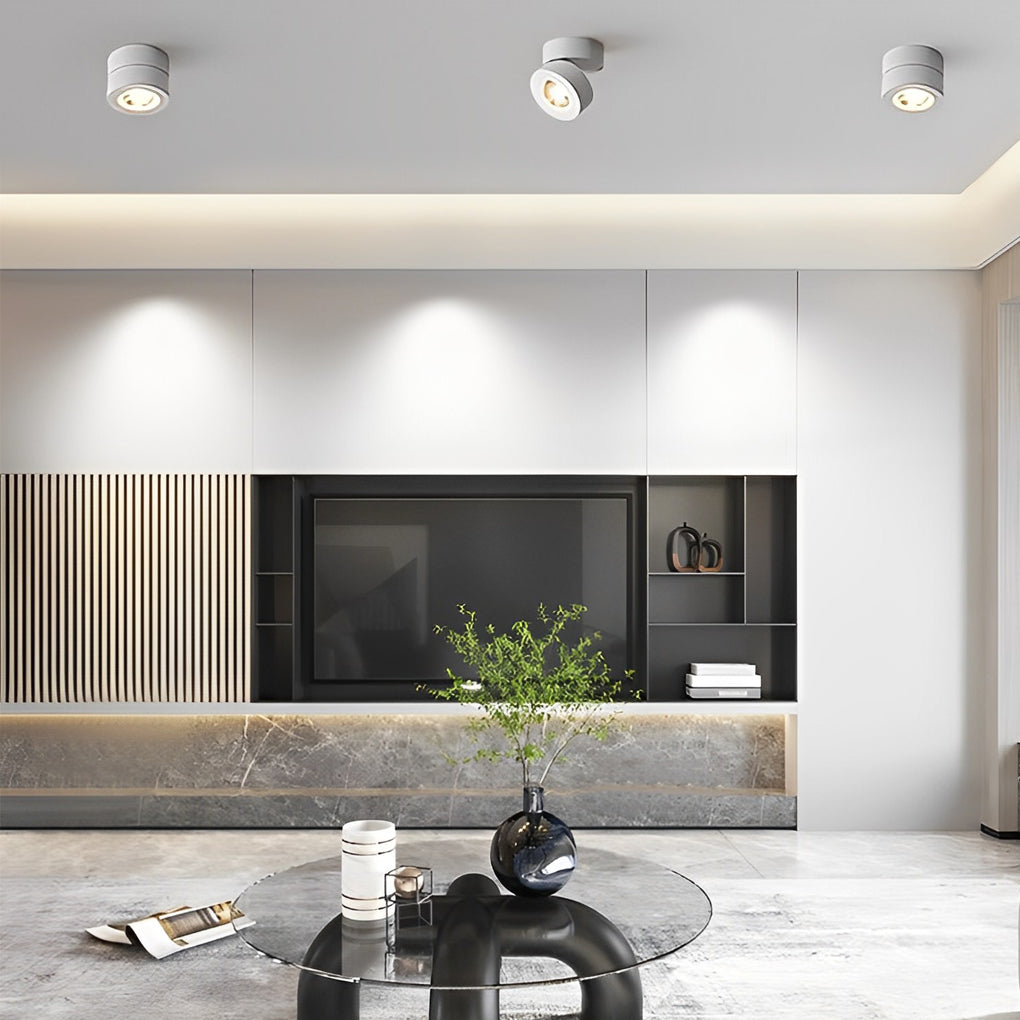 RayFlex | Nastavitelná stropní lampa – flexibilní osvětlení do domácnosti