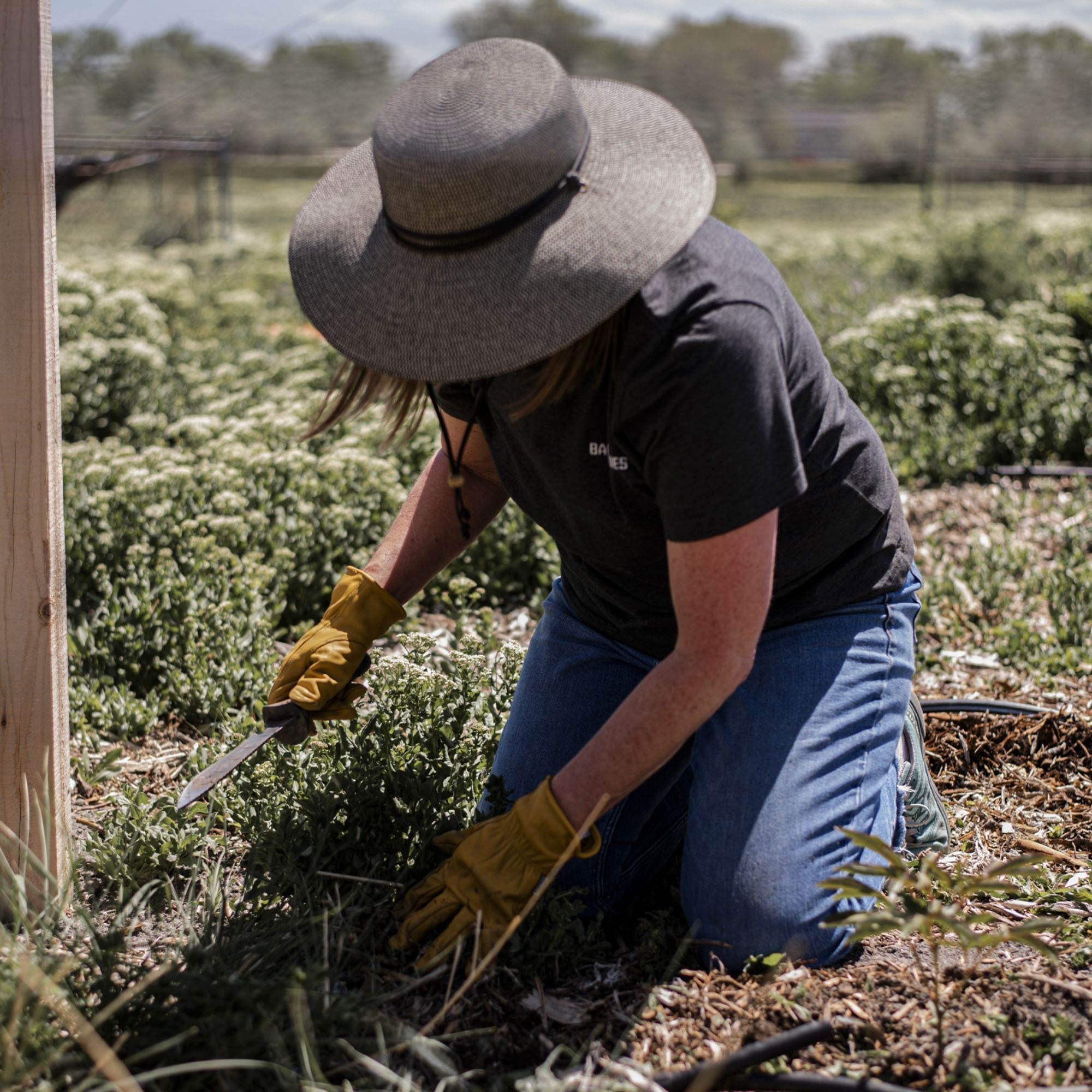 DigForce | Ruční nářadí – Multifunkční přesnost pro venkovní použití
