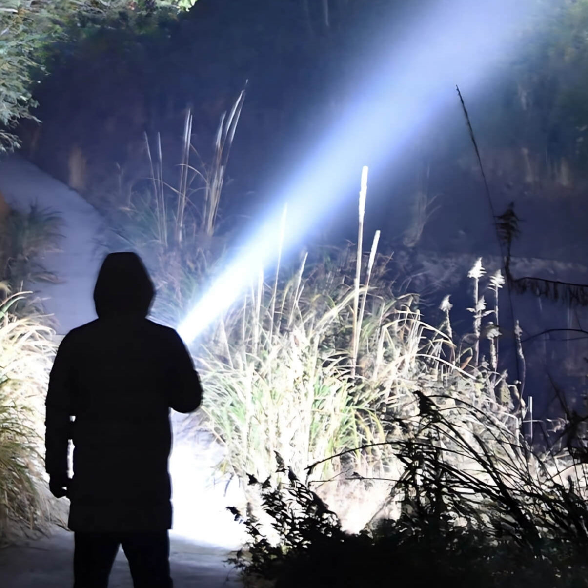 PowerTorch | Den Ultimative LED-lommelygte til ethvert eventyr