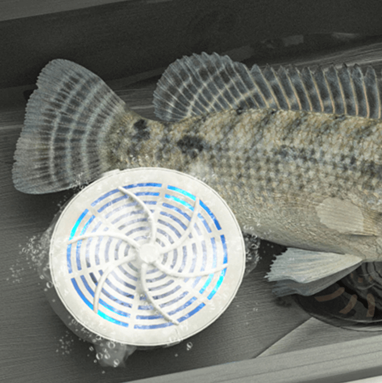 PureWash | Effektiver Lebensmittelreiniger für Frische & Sicherheit6