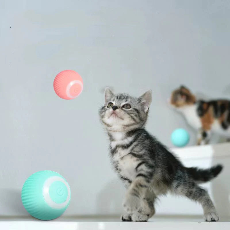 Rolloball - Elektrisk Selvkørende Bold Til Katte Nuvenci.dk