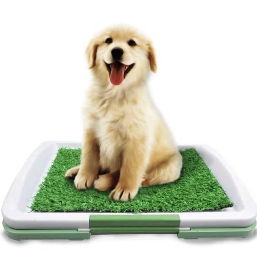 PetLawn | Toilette per cani – Comoda e stabile da usare