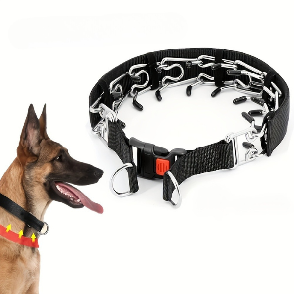 WalkControl | Collare per cani per passeggiate senza tirare con chiusura rapida