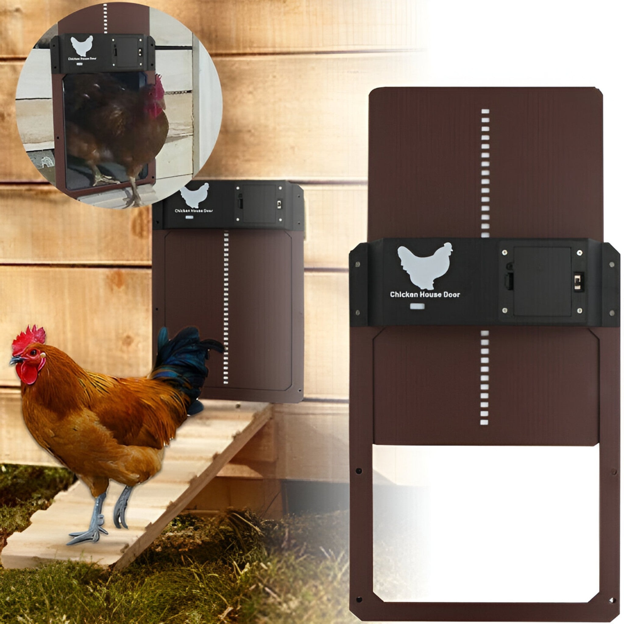ChickGuard | Chiusura automatica intelligente per porta del pollaio
