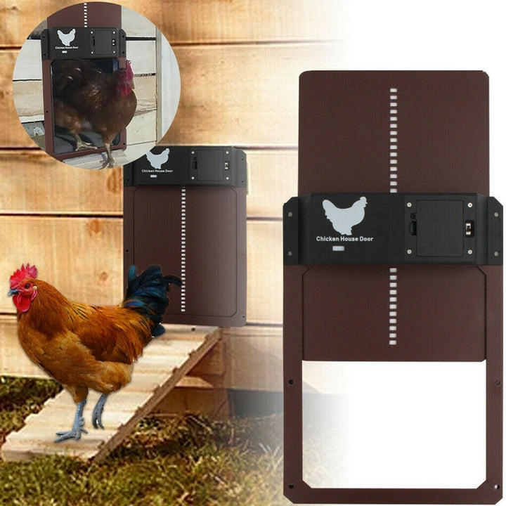 ChickGuard | Chiusura automatica intelligente per porta del pollaio