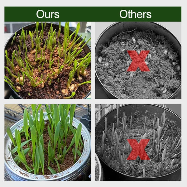 EcoGrow | Økologiske Kokosfibre til Planter