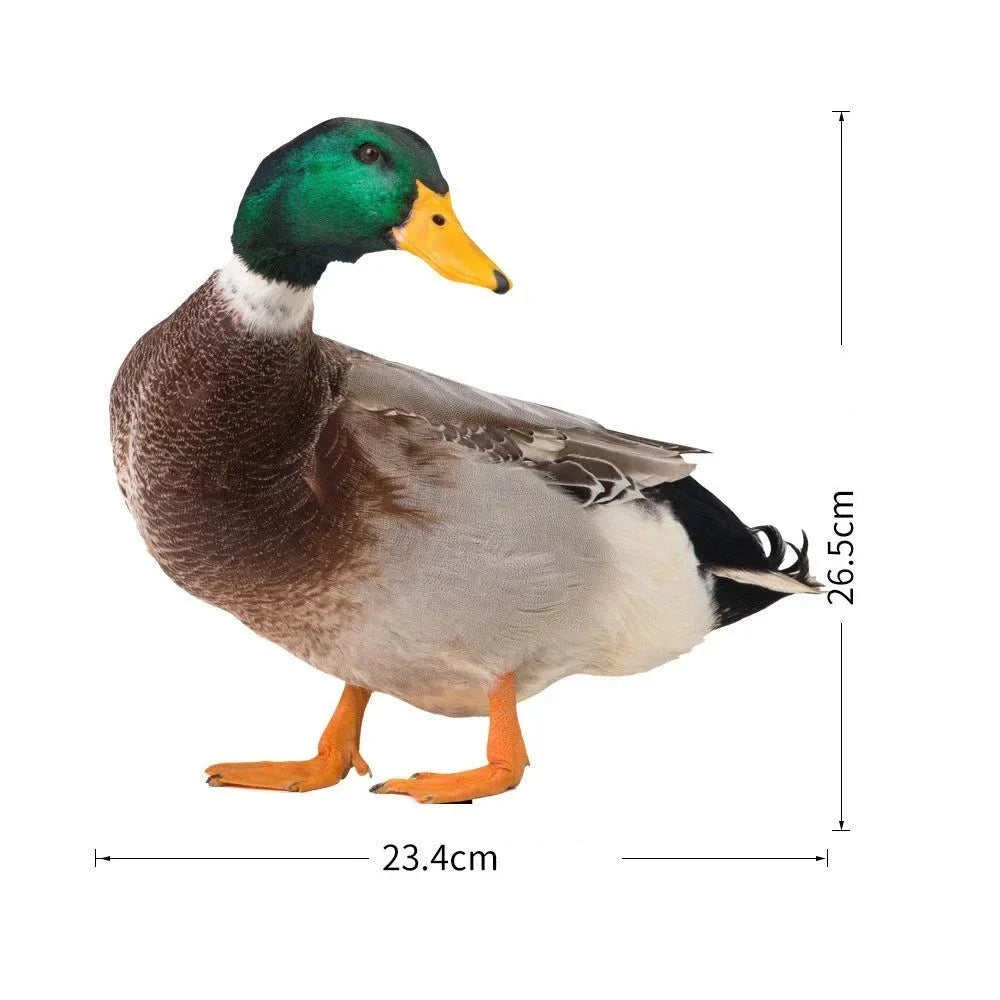 DuckDuo | Vandtæt dekorationsand til have & bed Nuvenci.dk