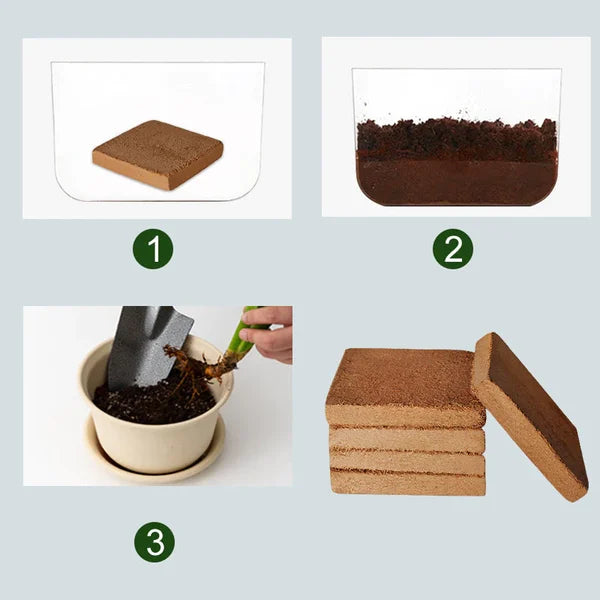 EcoGrow | Økologiske Kokosfibre til Planter Nuvenci.dk