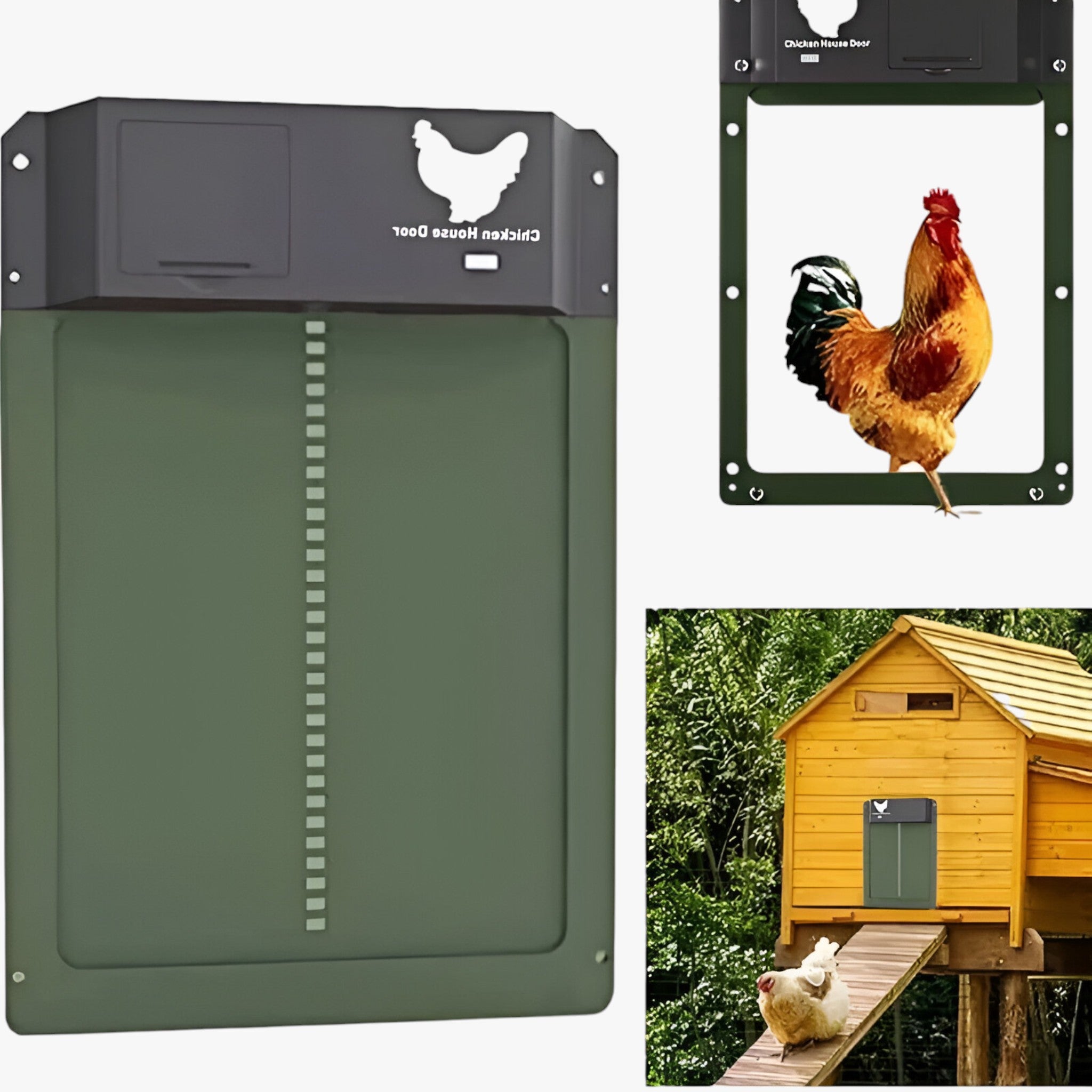 ChickGuard | Chiusura automatica intelligente per porta del pollaio