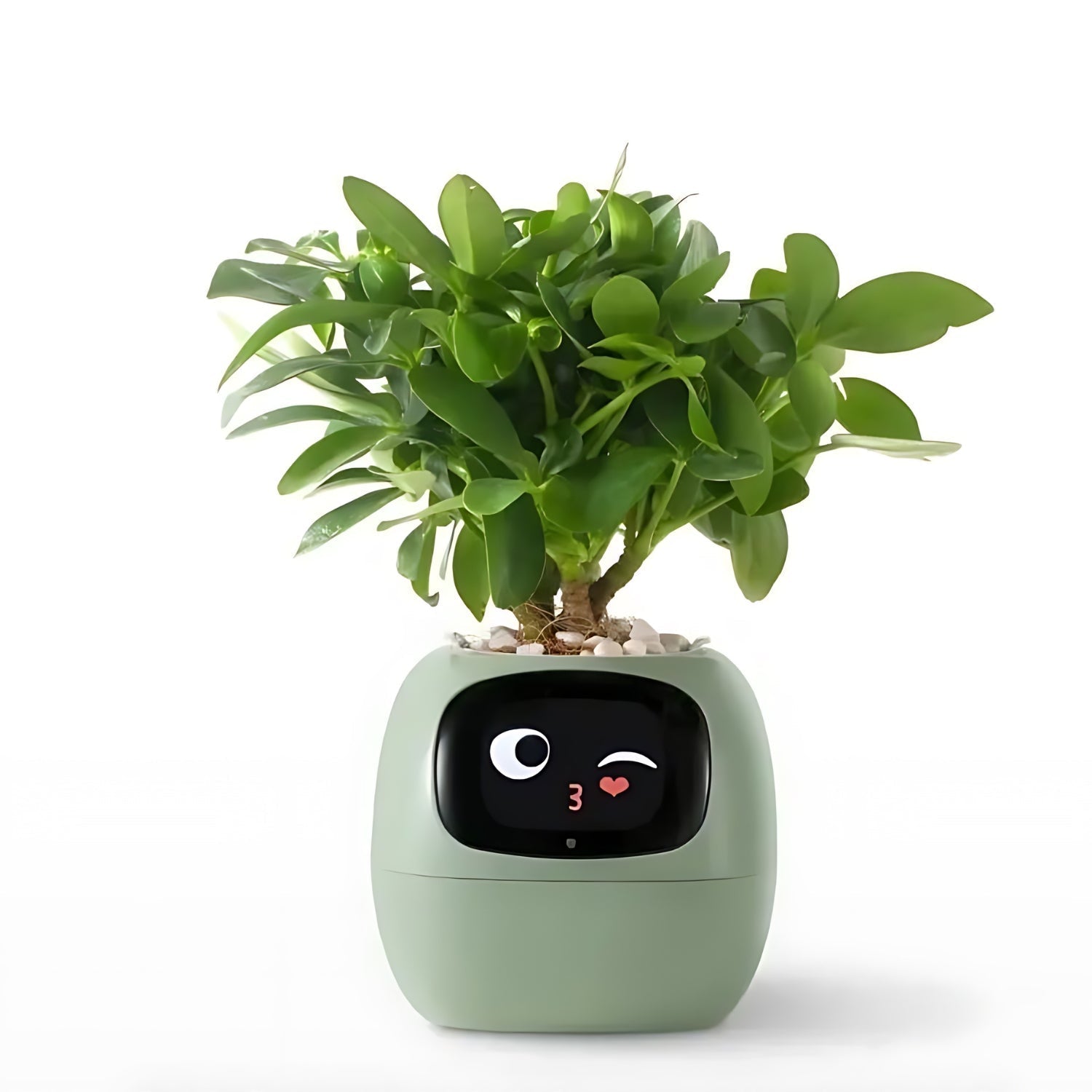 HappyIvy | SMART Blomsterkrukke til automatisk plantepleje Grøn Nuvenci.dk