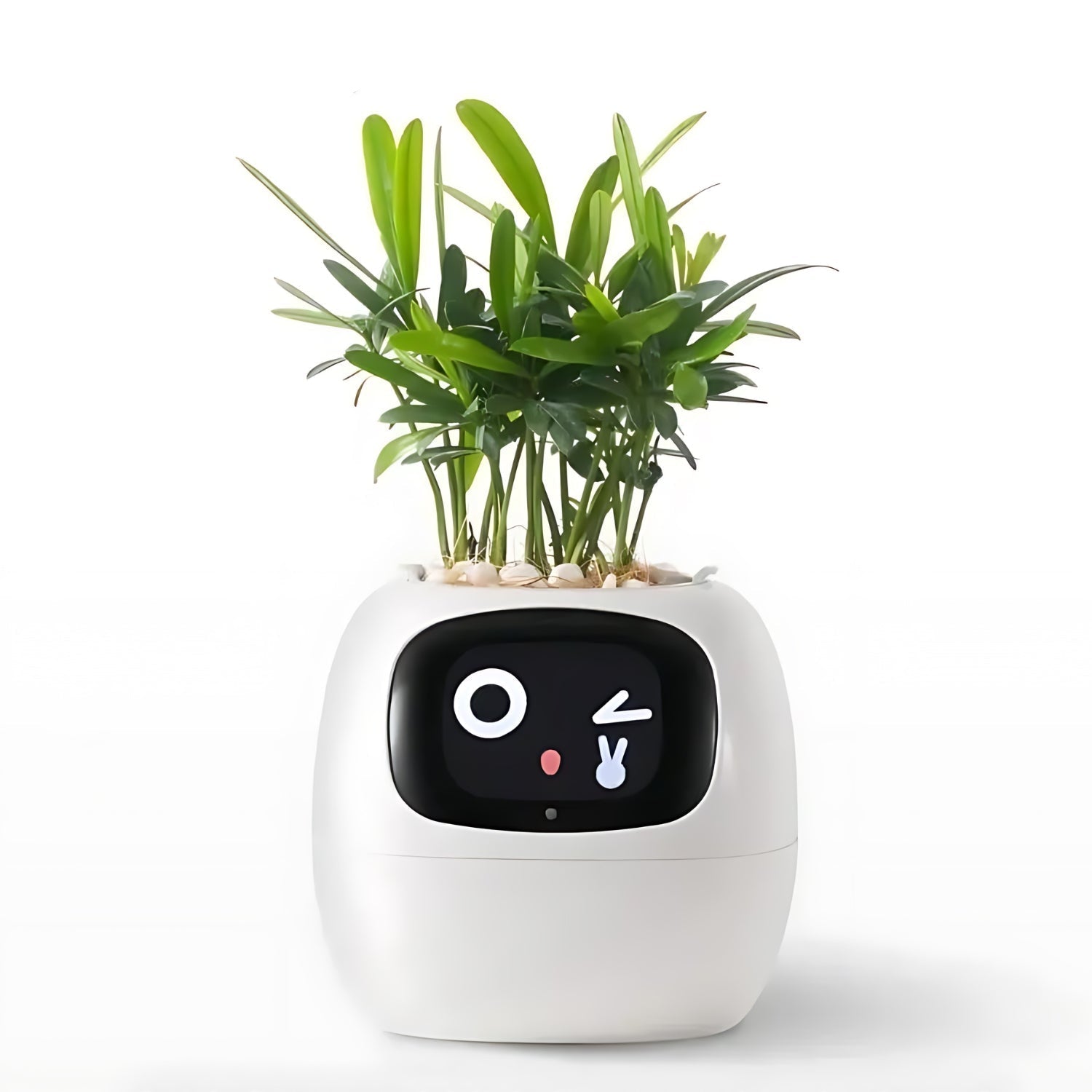 HappyIvy | SMART Blomsterkrukke til automatisk plantepleje Hvid Nuvenci.dk