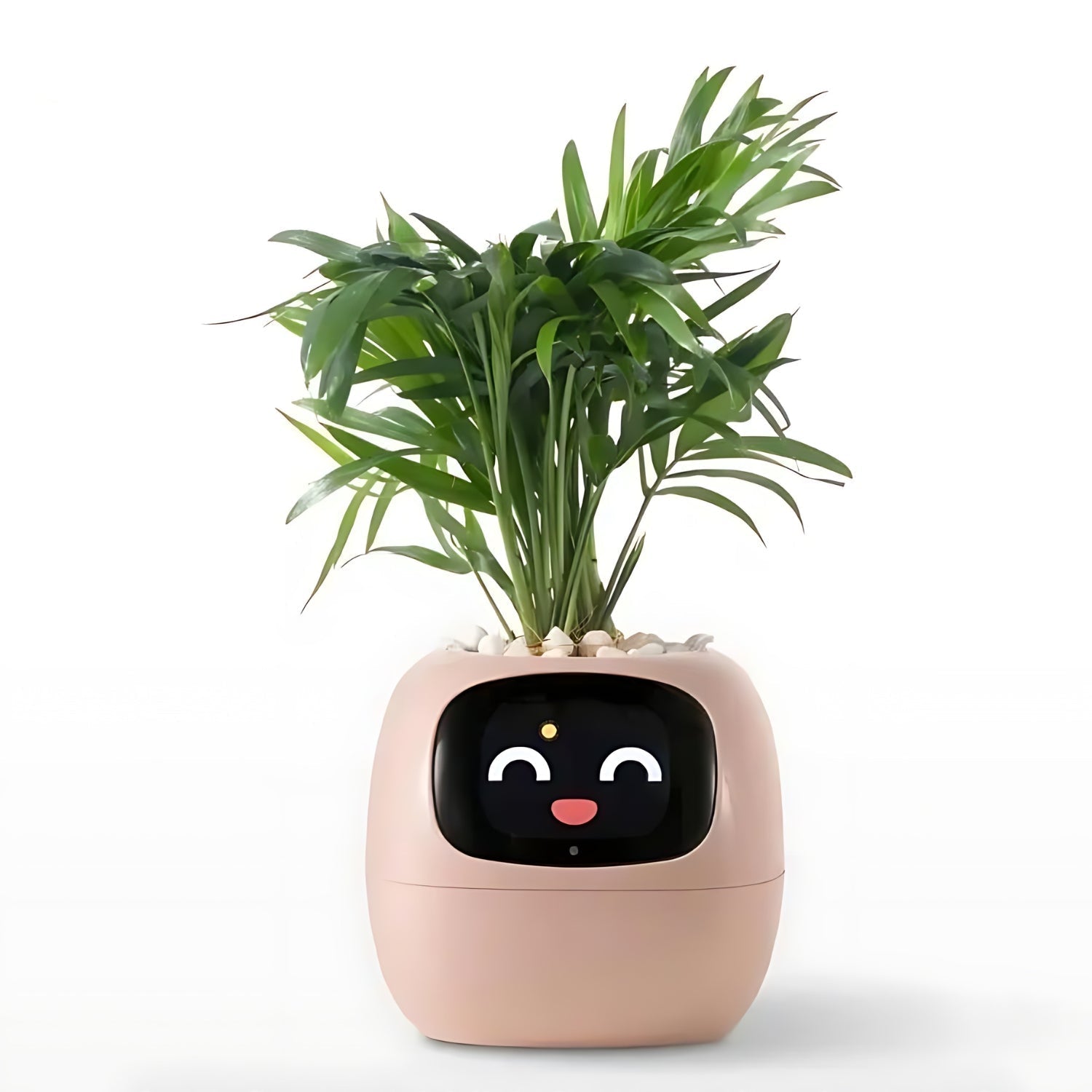 HappyIvy | SMART Blomsterkrukke til automatisk plantepleje Rosa Nuvenci.dk