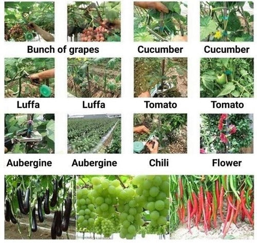 VineMate | Planteholdere