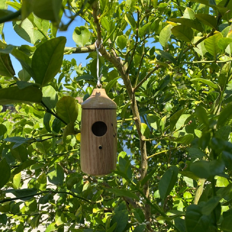 HummiHome | Sødt harpiks kolibrihus til forår & have