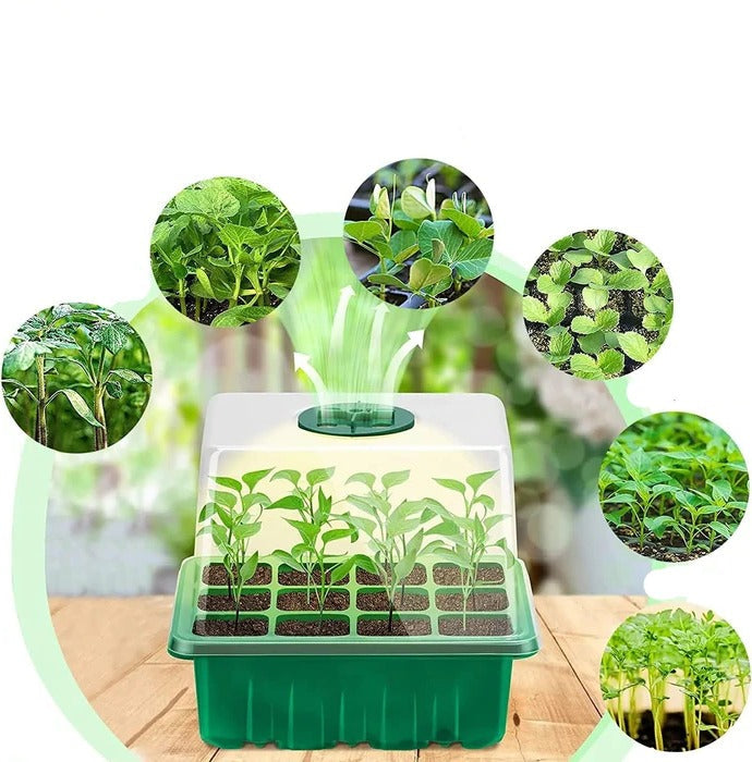 PlantJoy | Indendørs Mini-Gartneri med Belysning Nuvenci.dk