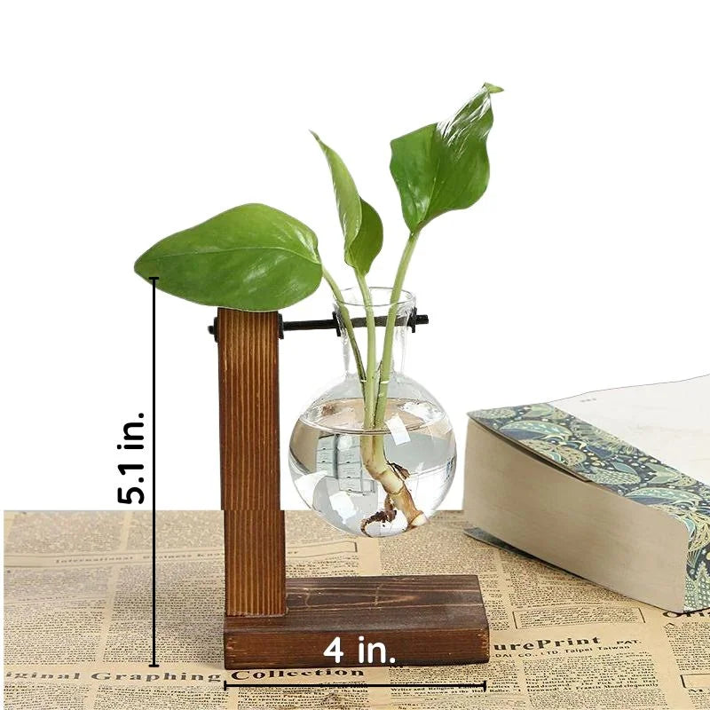 RootFrame | Træramme Hydroponisk Plantevase Nuvenci.dk