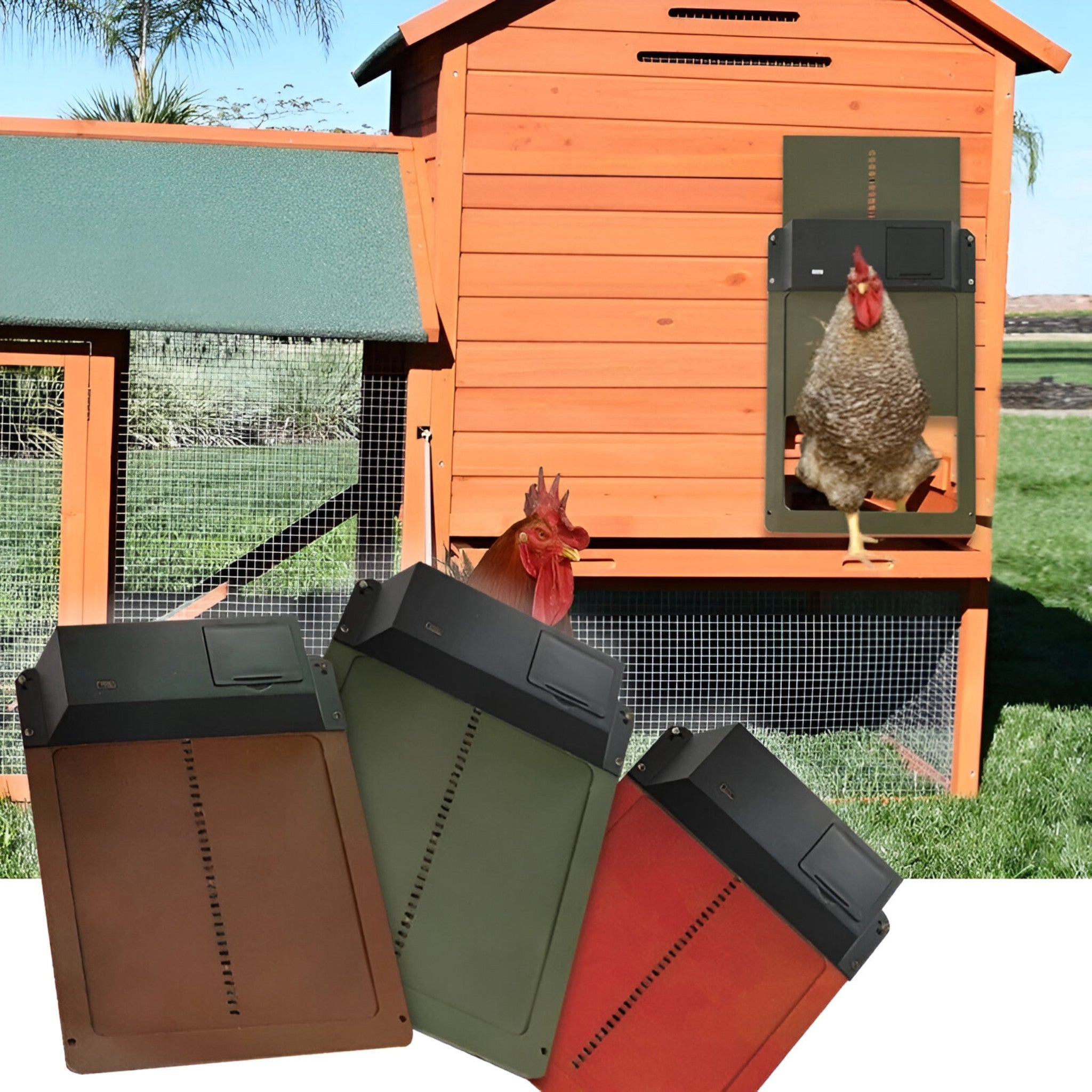 ChickGuard | Chiusura automatica intelligente per porta del pollaio
