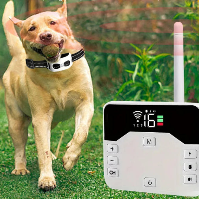 TailZone | Avanceret Trådløst Hundesikringssystem Nuvenci.dk