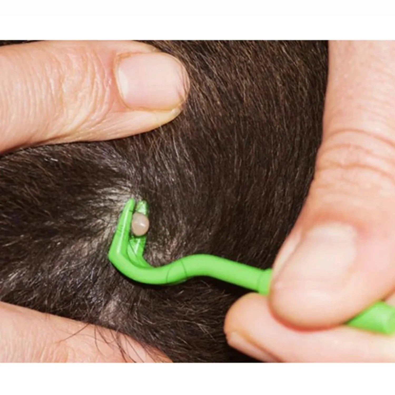 TickAway | Tickfjerningsværktøj til hunde og kæledyr Nuvenci.dk