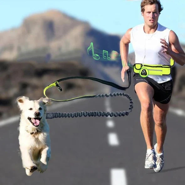 StrideLink | Håndfri Løbelinje – Komfortabel Motion med Din Hund