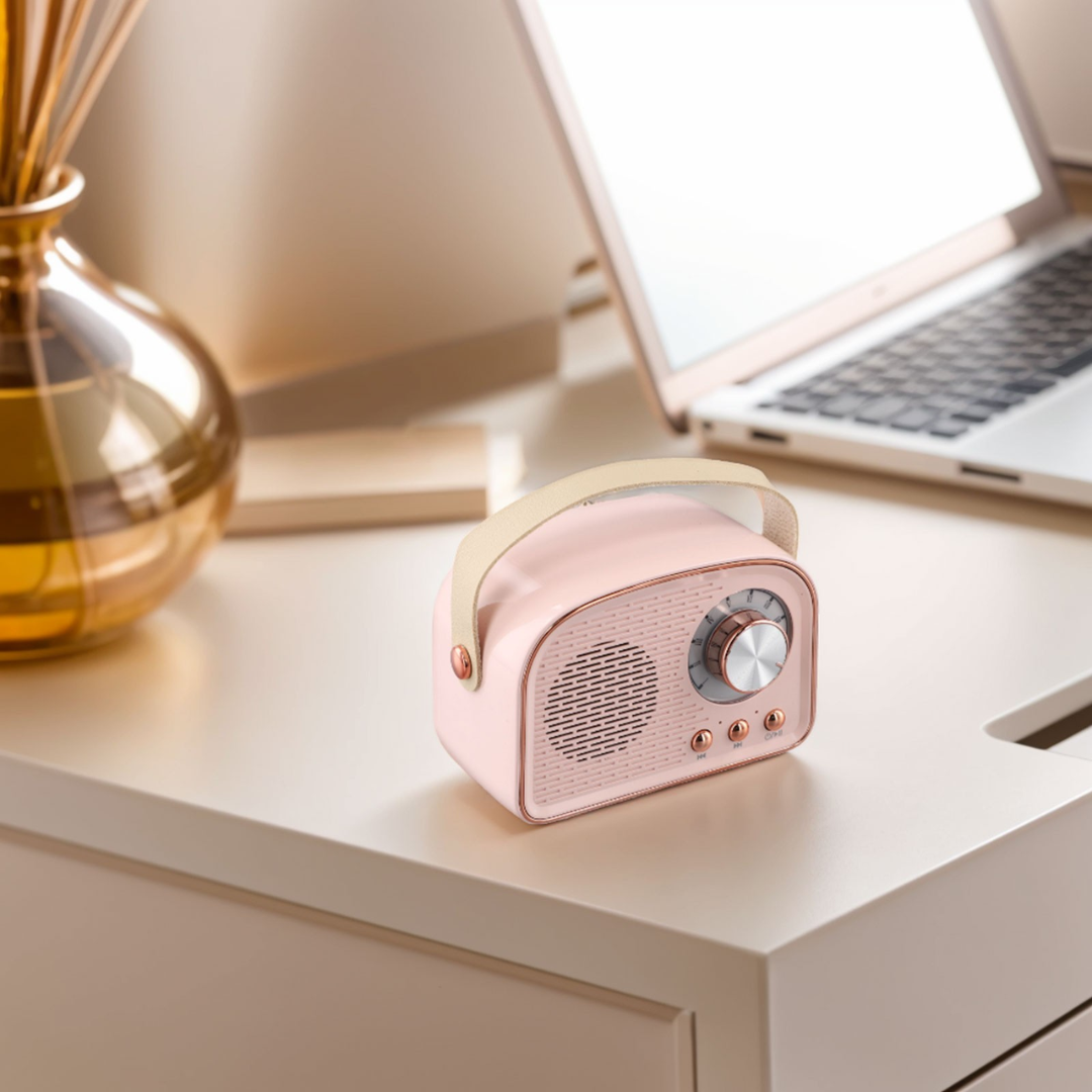 SoundJoy | Bærbar Retro Højttaler med FM Radio