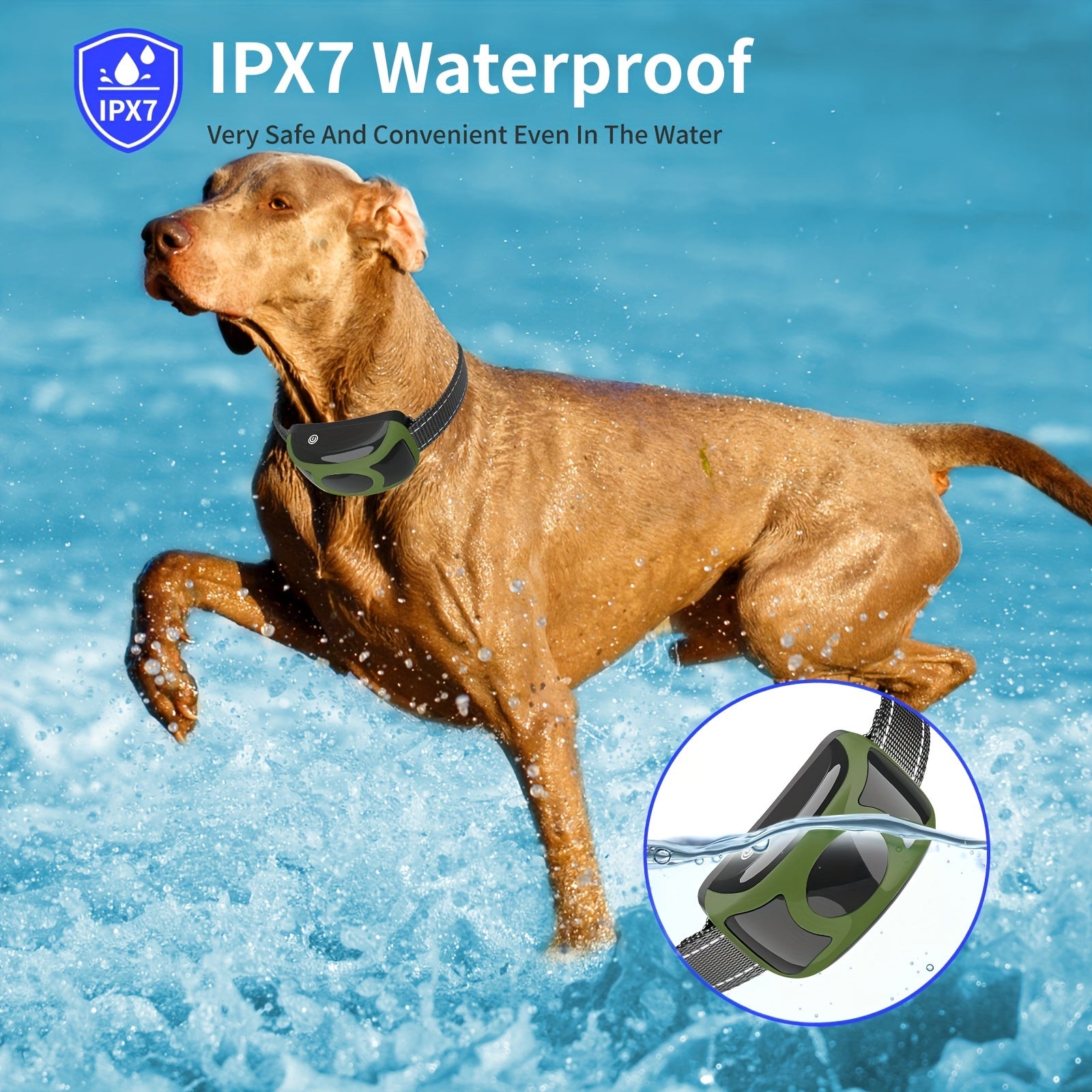 TailCoach | Skånsomt Hundehalsbånd med USB Opladning og Vibration