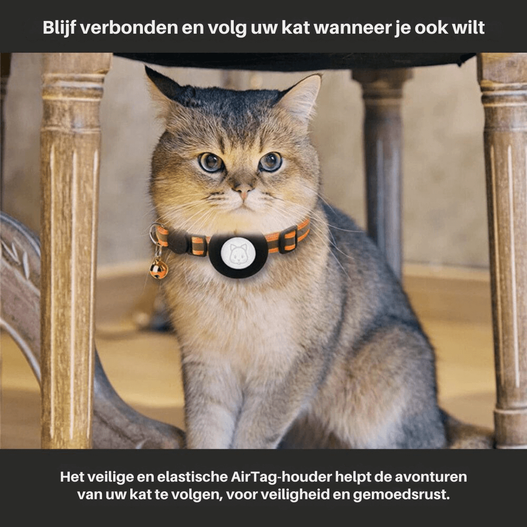 TrackTail | Kattehalsbånd med GPS-tracker holder & sikkerhedslås
