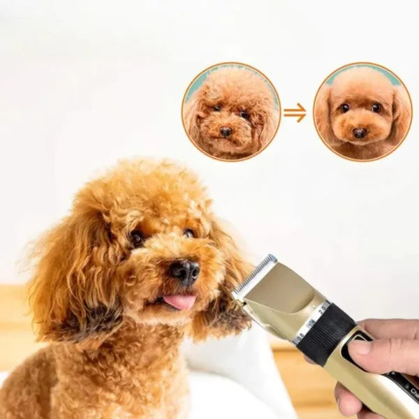 PawCare | Hundeklippersæt – Rolig og Komfortabel Pleje