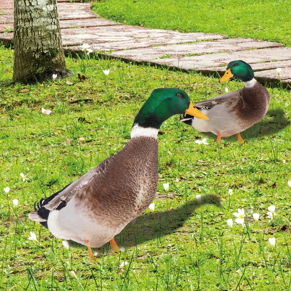 DuckDuo | Vandtæt dekorationsand til have & bed