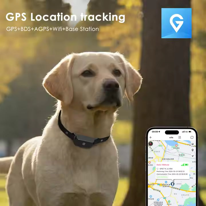 PawGuardian | Vandtæt GPS-halsbånd til hunde & katte