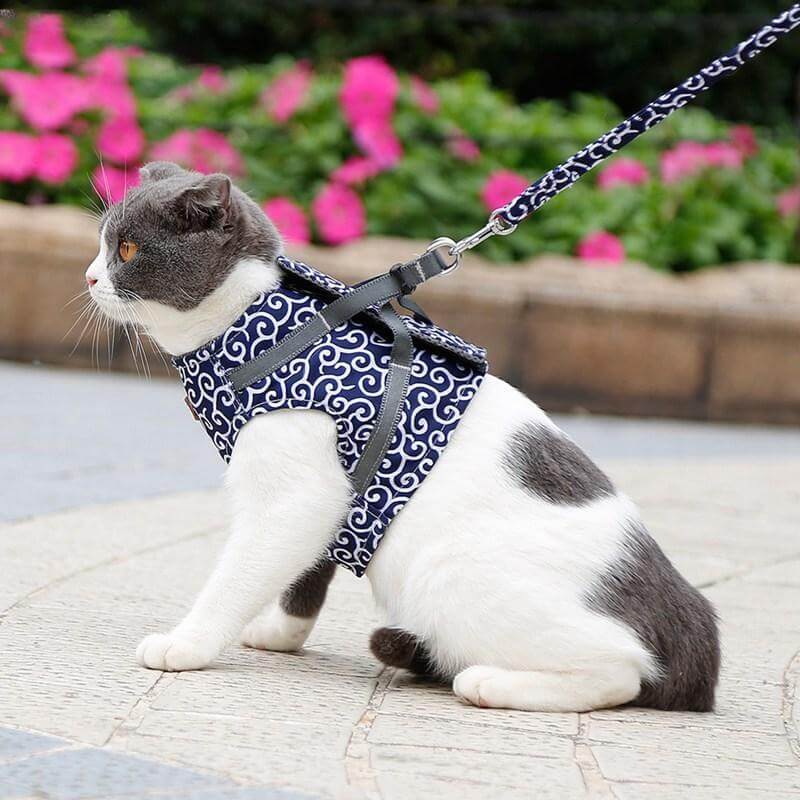 KittyComfort | Ausbruchsicheres Katzen-Geschirr-Set11