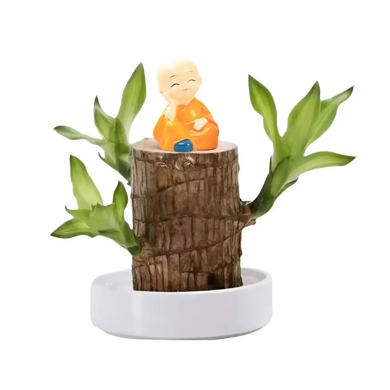 Luckstem - Stueplante Med Dekorativ Stamme Og Skål Træ + Buddha Nuvenci.dk
