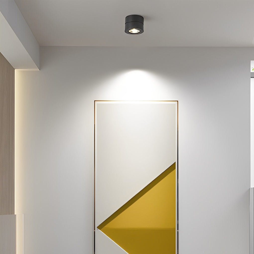 RayFlex | Nastavitelná stropní lampa – flexibilní osvětlení do domácnosti