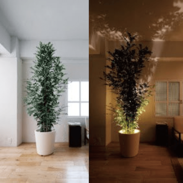 LundLight | Elegant LED-projektor med fjernbetjening