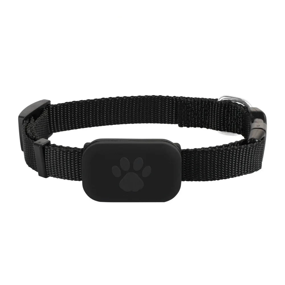 FurryFind | Anti-Tabs Tracker til små kæledyr