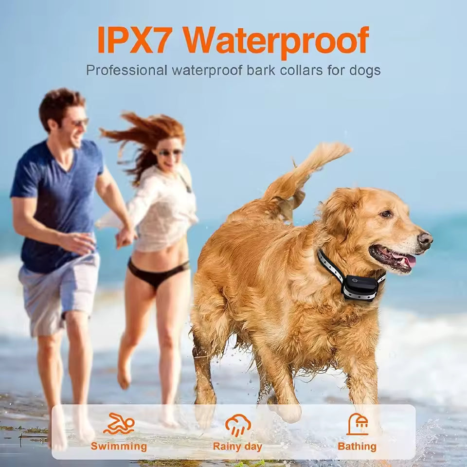 ControlCollar | Collare per addestramento cani – Lunga portata e comportamento sicuro