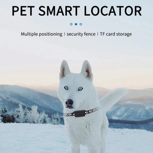 GuardPet | Hunde- & Katte-GPS med 12 måneders batterilevetid