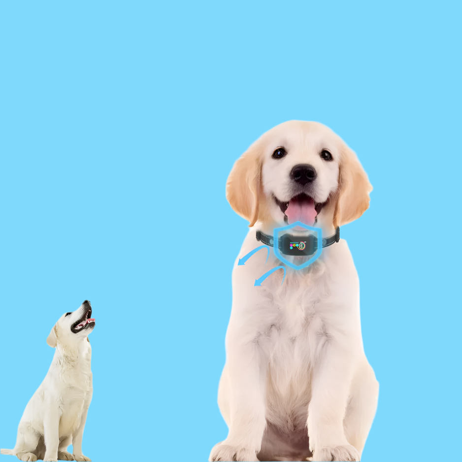 SmartPup | SmartPup - Hundetræningshalsbånd – Justerbare Niveauer for Sikker Træning
