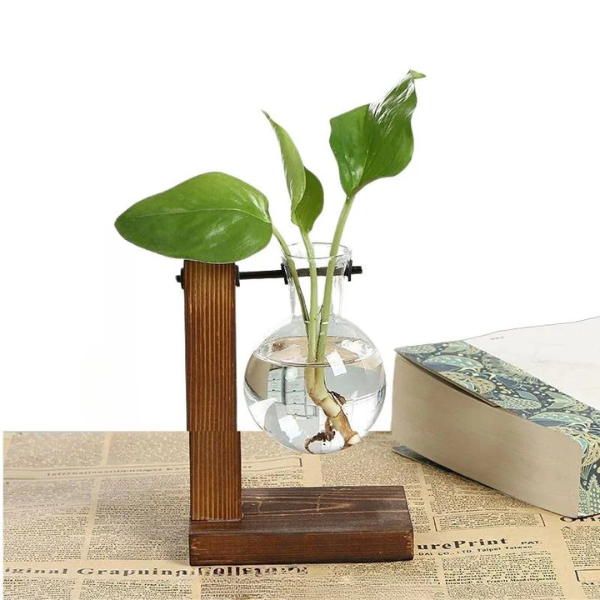 RootFrame | Træramme Hydroponisk Plantevase