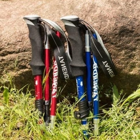 HikePro | Justerbar Trekkingstav for ethvert terræn