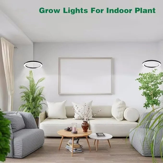 PlantLuxe | Vækstlys til stueplanter
