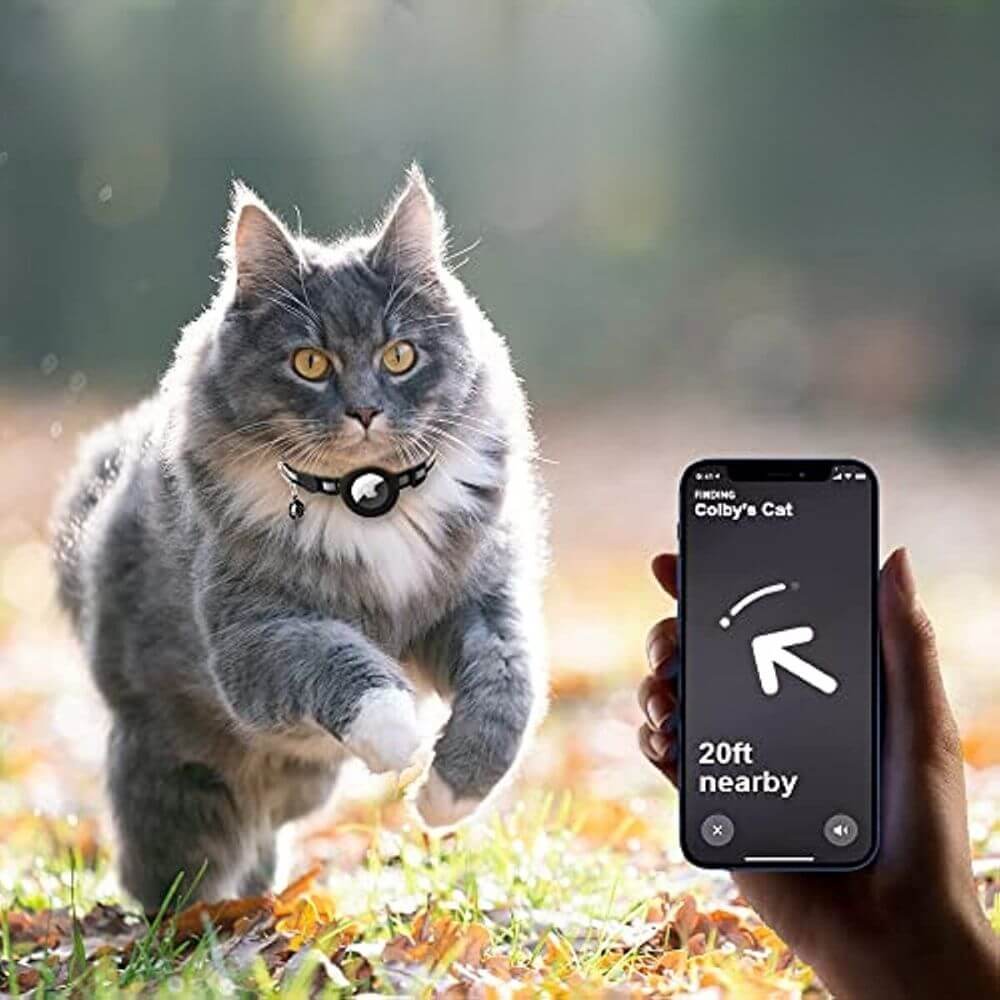 TrackTail | Kattehalsbånd med GPS-tracker holder & sikkerhedslås